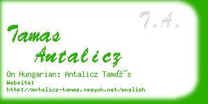 tamas antalicz business card